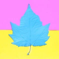 leaf-fall-blue