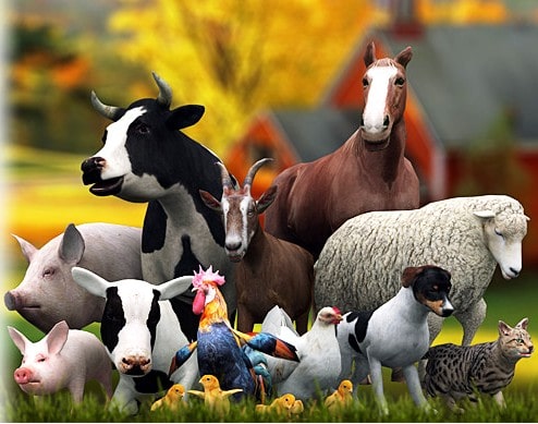 Domestic-Animals-farmآموزش حیوانات اهلی به انگلیسی