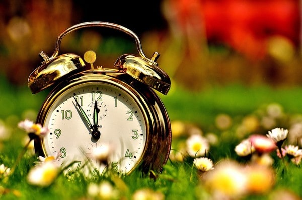 summer-clock-flower-مکالمه انگلیسی با موضوع ساعت چهل و پنج دقیقه بعد از فلان ساعت است